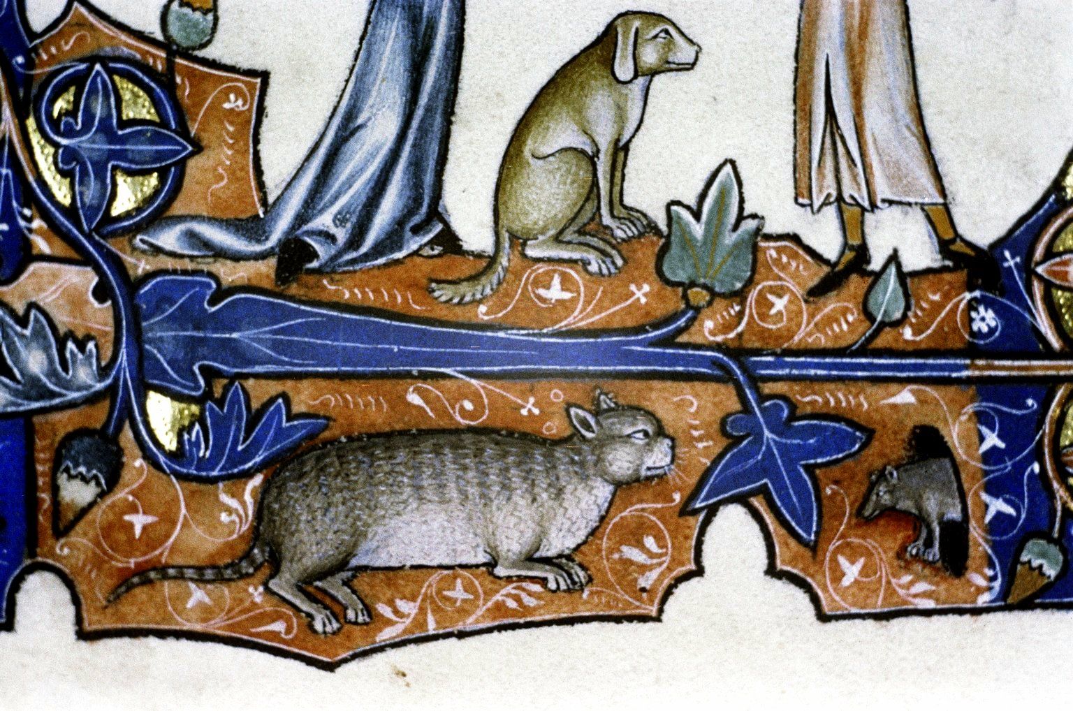 Кошки в средние века