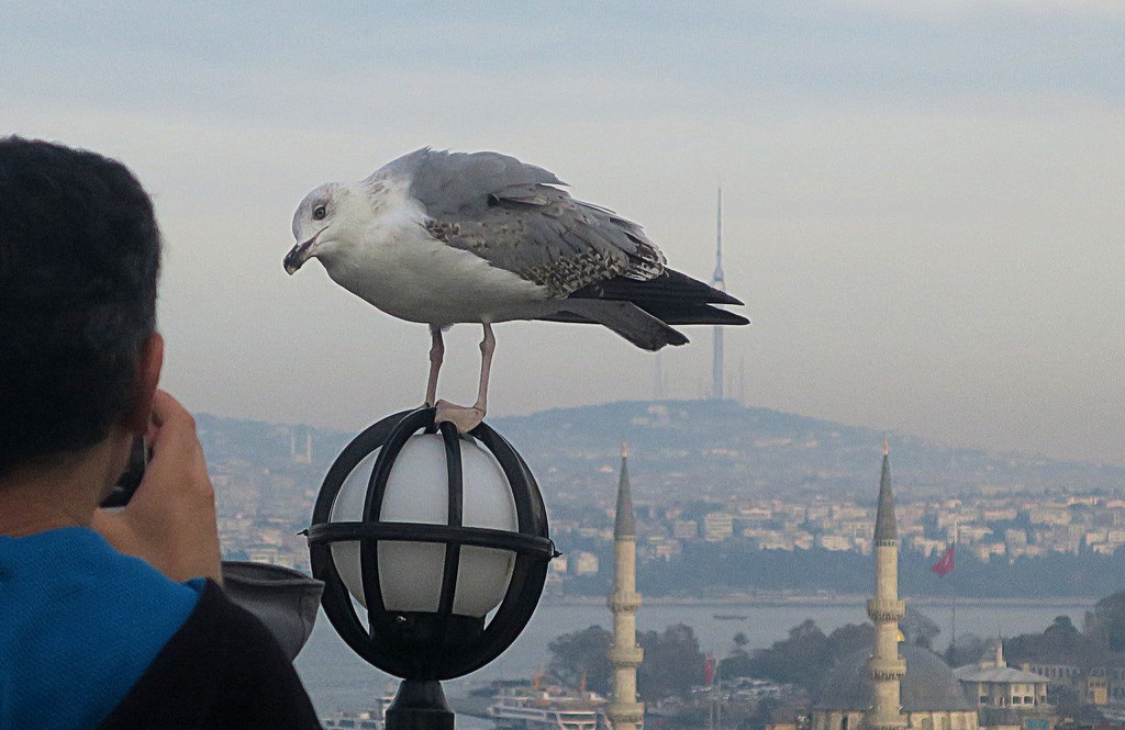 Были в Стамбуле. Взяли Константинополь