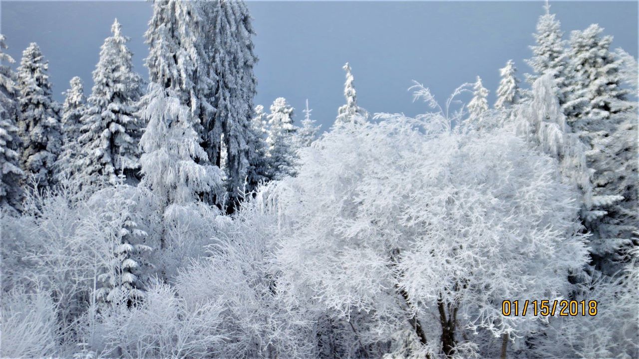 Болгария: где искать прошлогодний снег
