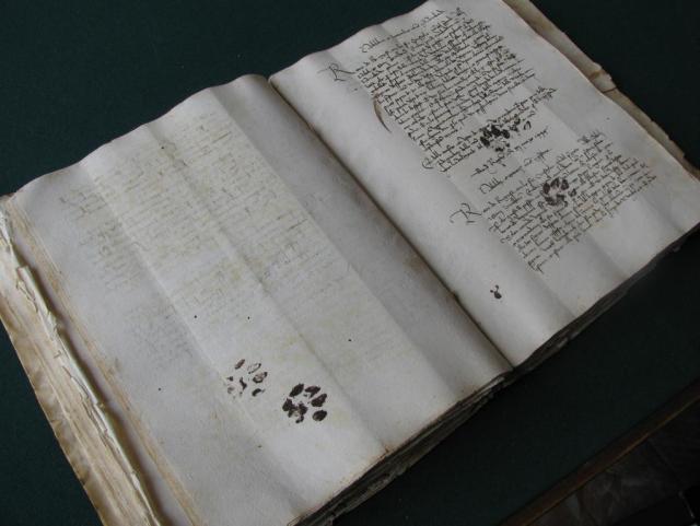 О рукописных книгах, мышах и кошках